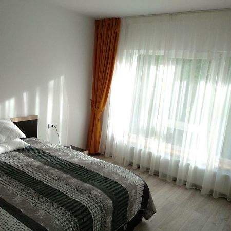 Apartament Ramona Διαμέρισμα Μπρασόβ Εξωτερικό φωτογραφία
