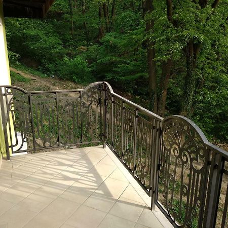 Apartament Ramona Διαμέρισμα Μπρασόβ Εξωτερικό φωτογραφία