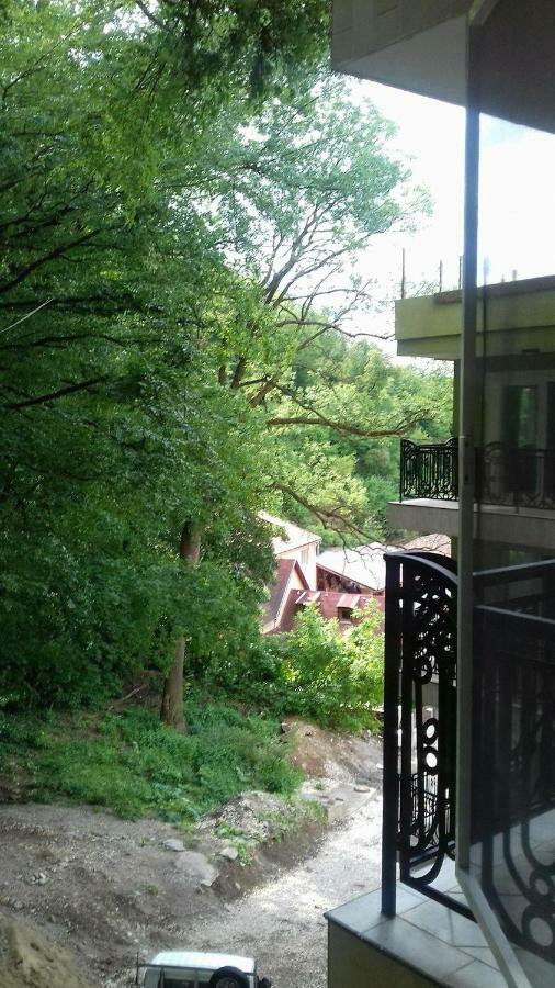 Apartament Ramona Διαμέρισμα Μπρασόβ Εξωτερικό φωτογραφία