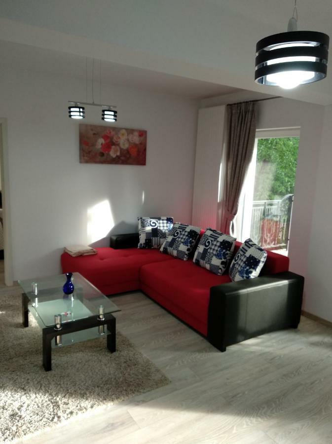 Apartament Ramona Διαμέρισμα Μπρασόβ Εξωτερικό φωτογραφία
