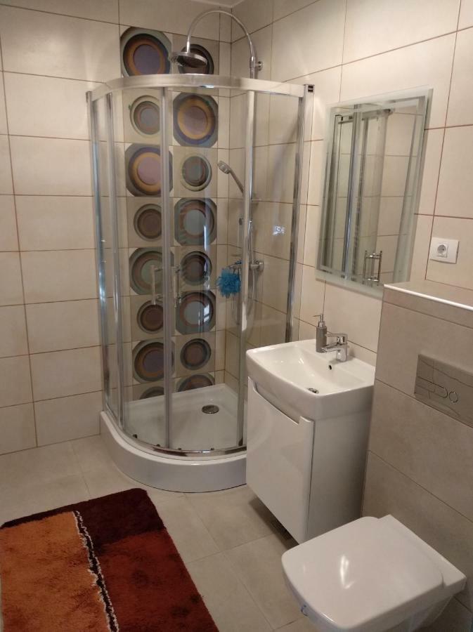 Apartament Ramona Διαμέρισμα Μπρασόβ Εξωτερικό φωτογραφία