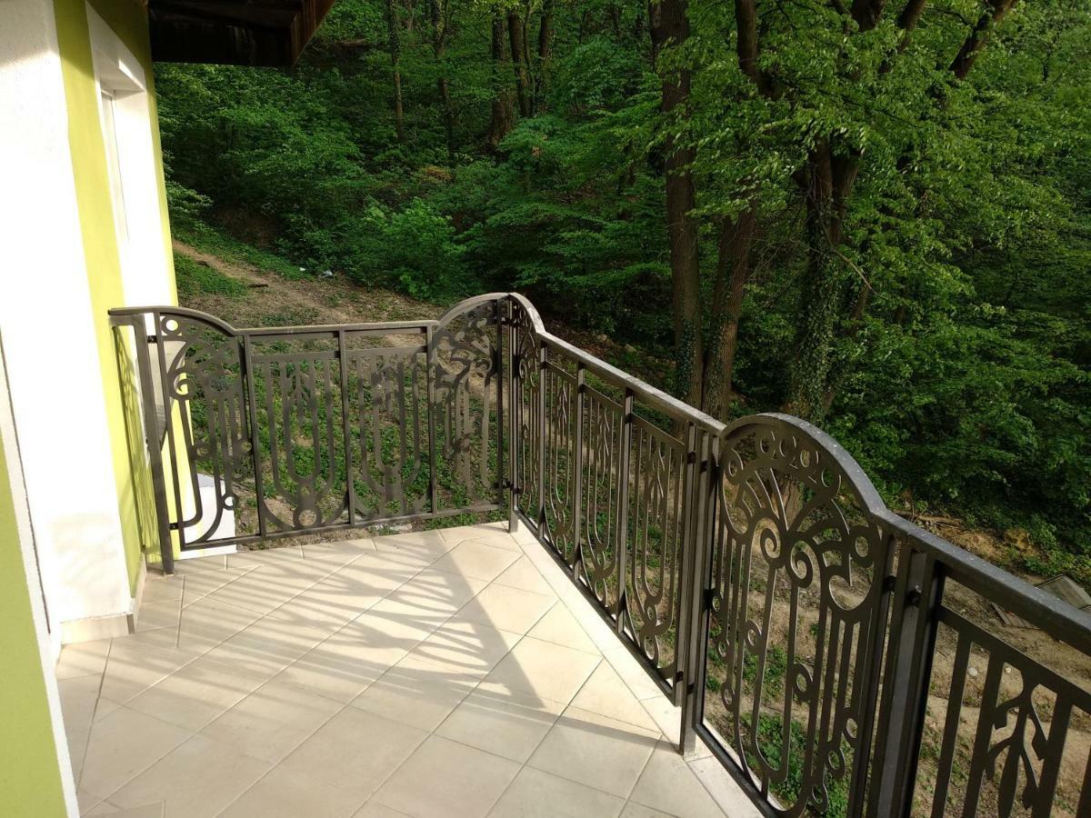 Apartament Ramona Διαμέρισμα Μπρασόβ Εξωτερικό φωτογραφία