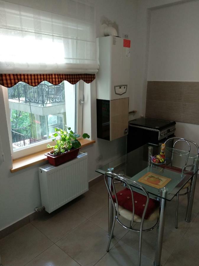 Apartament Ramona Διαμέρισμα Μπρασόβ Εξωτερικό φωτογραφία