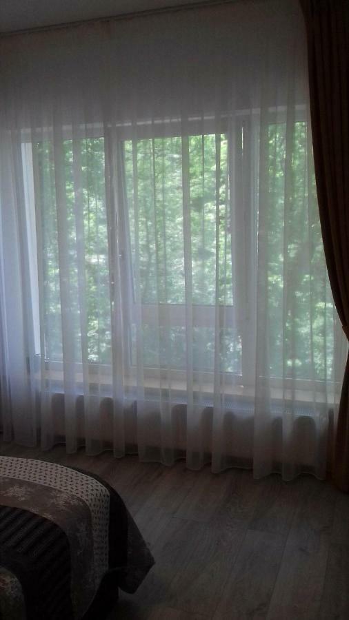 Apartament Ramona Διαμέρισμα Μπρασόβ Εξωτερικό φωτογραφία