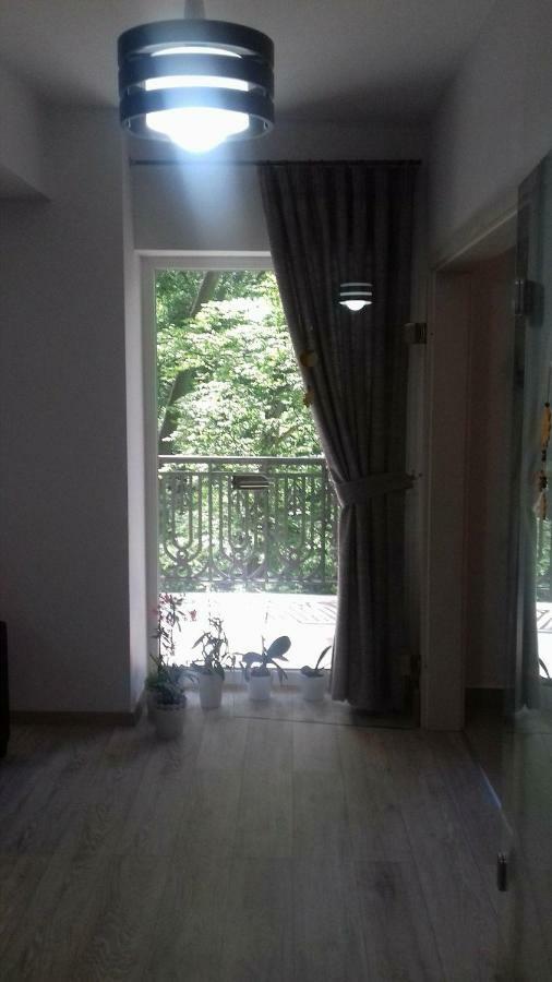 Apartament Ramona Διαμέρισμα Μπρασόβ Εξωτερικό φωτογραφία