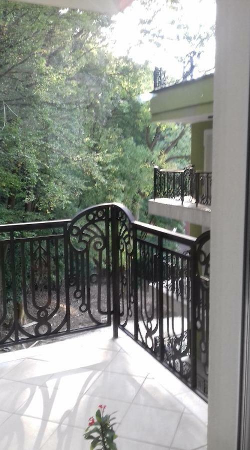 Apartament Ramona Διαμέρισμα Μπρασόβ Εξωτερικό φωτογραφία